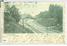 BAARN * STATION * ANSICHTKAART * CPA * GELOPEN IN 1900 Van BAARN Naar DEN HAAG * NVPH NR 55  (2961) - Baarn