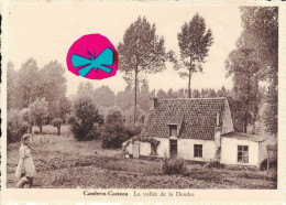CAMBRON-CASTEAU - La Vallée De La DENDRE + Autel N.D De CAMBRON + Panorama Pris De La Dréve - Brugelette