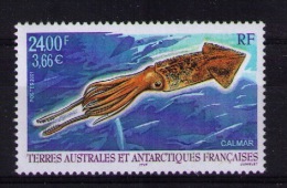 TAAF 2001 Squid (Marine Life) - Nuevos