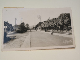 Le Trait Rue Georges Clémenceau CPSM - Le Trait