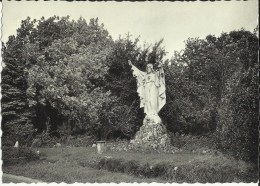 Héron -- Le  Monument  Du  Sacré - Coeur.   (2 Scans) - Heron