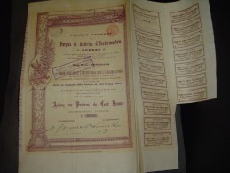 Action " Forges Et Aciéries D'Ekaterinoslaw " Donetz Russie Russia 1895 Bon état,reste Des Coupons - Russland