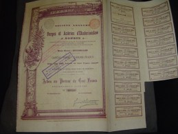 Action"Forges Et Aciéries D'Ekaterinoslaw"Donetz Russie Russia 1895 Bon état,reste Des Coupons - Russland