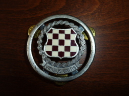 Kroatien Croatia BOSNIA HVO BADGE VIRIBUS UNITIS - Autres & Non Classés