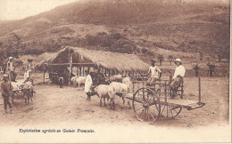 GUINEE FRANCAISE   EXPLOITATION AGRICOLE     TRES BELLE CARTE ANIMEE - Guinée