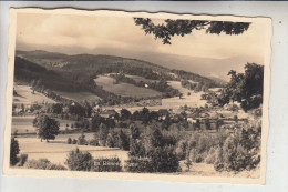 BÖHMEN & MÄHREN - HARTENBERG / HREBENY, Ortsansicht - Sudeten