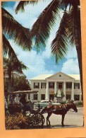 Bahamas Old Postcard Mailed To USA - Bahamas