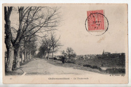 Châteaumeillant, La Promenade, 1904, éd. B. F. N° 13 - Châteaumeillant