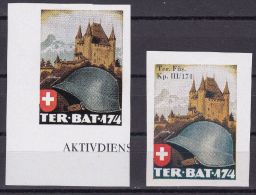 Schweiz Soldatenmarken Teritorial-Truppen "TER.BAT.174"  * Falz - Etichette