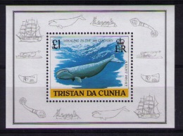 TRISTAN DA CUNHA 1988  Whales - Whales
