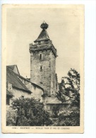 Rouffach (haut Rhin) Vieille Tour Et Nid De Cigognes N°5789 - Rouffach