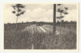 Zillebeke (Wijk Hooge)  *  Duitsch Krijgskerkhof - Deutscher Kriegerfriedhof - Soldatenfriedhöfen