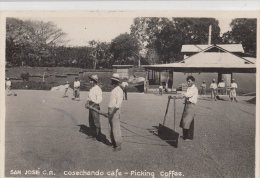 P3232 Costa Rica Cosechando Cafe San Jose Picking Coffe Scan Front/back Image - Costa Rica