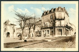 CPSM HAGETMAU - Avenue Carnot - Hagetmau