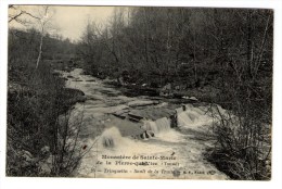 Cp , 89 , Monastère De Sainte Marie De La Pierre Qui Vire , Trinquelin , Sault De La Truite , Vierge - Autres & Non Classés