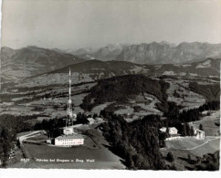 Autriche - Pfänder Bei Bregenz U Breg Wald - Bregenz