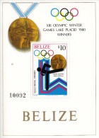 Belice Hb Michel 21 - Belize (1973-...)