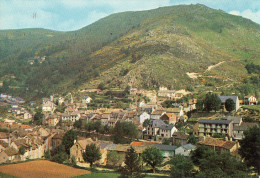 LE PONT-DE-MONTVERT - Vue Générale - Edit: J. Cellard - Le Pont De Montvert