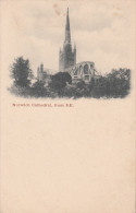 NORWICH CATHEDRAL FROM S.E. 1900 - Norwich