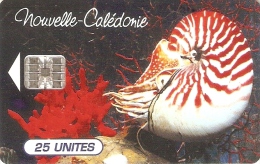 TARJETA DE NUEVA CALEDONIA DE UN CEFALOPODO (MARINE LIFE- PEZ-FISH) - New Caledonia