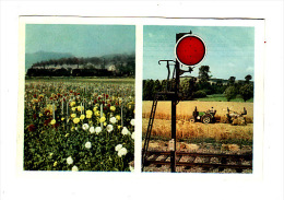 Calendrier 1961 : éditions La Vie Du Rail : Train ,tracteur ,moisson - Tamaño Pequeño : 1961-70