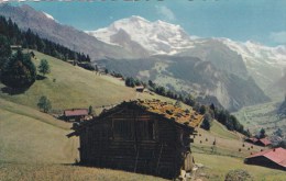 WENGEN - Wengen