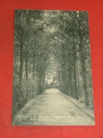 TILDONK - THILDONCK  - Pensionnat Des Ursulines  (Wespelaer) -  Allée Du Calvaire  -  1911 - Haacht