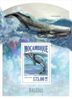 Mozambique. 2013 Whales. (426b) - Wale