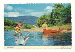 Cp, Pêche, St-Come (Québec - Canada), Voyagée 1983 - Fishing