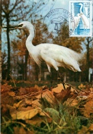 CPSM Villars Les Dombes-L'aigrette Garzette-Parc Ornithologique-Carte Premier Jour  L1571 - Villars-les-Dombes