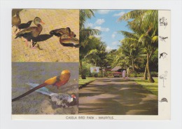 MAURITIUS - Ile Maurice - CASELA BIRD PARK - Grue Vautour Ara Cygne Muet Martin Tortue - Tartarughe