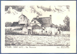 Carte Postale 95. Saint-Witz  Par Yves Ducourtioux  Trés Beau Plan - Saint-Witz