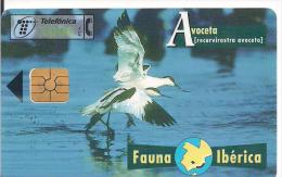 TARJETA TELEFONICA FAUNA AVOCETA - Non Classés