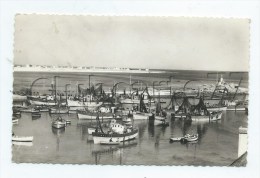 Lesconil (29) : Vue Générale De La Plage Des Sables Blancs Vue Du Port En 1950 (animé) PF. - Lesconil