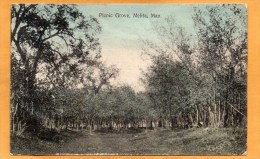 Picnic Grove Melita Man 1908 Postcard Mailed - Autres & Non Classés