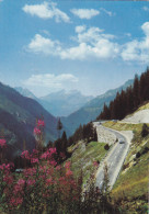 SUISSE,HELVETIA,SWISS,SWITZERLAND,SCWEIZ,SVIZZERA, URI,BERNE,SUSTEN-PASS,ALP ES URANAISE,ROUTE OUVERTE EN 1938,PHOTO BAU - Autres & Non Classés