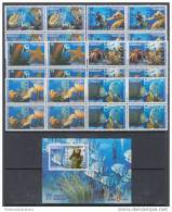 2010.62 CUBA 2010 MNH. FONDOS MARINOS. BLOQUE DE 4 + 1 HOJA.SEA FAUNA. AQUARIUM - Ungebraucht