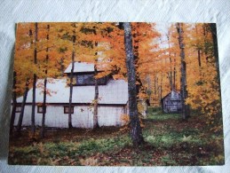 CANADA / LOT DE 17 JOLIES CARTES / TOUTES LES PHOTOS ET DESCRIPTIFS - Moderne Kaarten