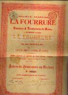 HOFSADE-LEZ-ALOST « SA La Fourrure – Tannerie & Teinturerie De Peaux » (1895) - Action De Jouissance - Tessili