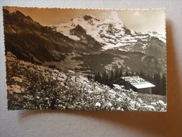 Switzerland - Wengen - Jungfrau  D116202 - Wengen