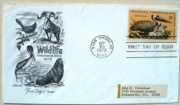 ETATS UNIS Pelican. Yvert 965. FDC Enveloppe 1er Jour. 20/09/1972 - Pelícanos