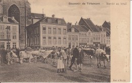 TIENEN / TIRLEMONT :  Dierenmarkt (Z60) - Tienen