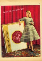 # XANTHIA CIGARETTES Belgique Belgie 1950s Advert Pubblicità Publicitè Reklame Sigarette Cigarrillos Zigaretten Tabak - Sonstige & Ohne Zuordnung