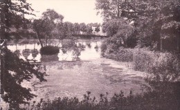 Kasteel Van Gaesbeek Bij Brussel;    De Grote Vijver  .... (klein Scheurtje) - Lennik