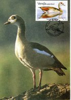 VENDA. N°153 Sur Carte Maximum De 1987. Oie. - Geese