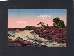 46542    Germania,      Aus Der  Luneburger Heide,  NV(scritta) - Lüneburger Heide