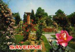 Delcampe - 67 SAVERNE La Roseraie - Saverne