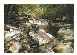 Cp, 86, Env. De Montmorillon, Le Saut De La Brame, Voyagée 1971 - Montmorillon