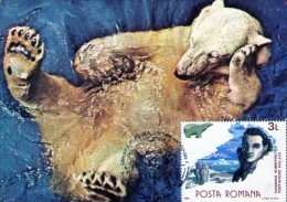 Polar Fauna Maxicard.  Cluj 1990. - Fauna Antártica