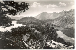 CARTE POSTALE PHOTOGRAPHIE VERITABLE  VALLEE D AURE  LES LACS D AUMAR  ET D AUBERT - Vielle Aure